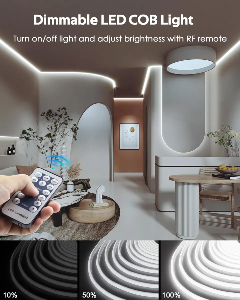 Guirlande lumineuse LED d'extérieur étanche 6 000 K blanc froid AC 110 V/120 V à intensité variable pour décoration commerciale